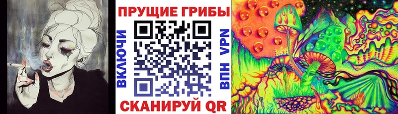 Галлюциногенные грибы GOLDEN TEACHER  Новосиль 